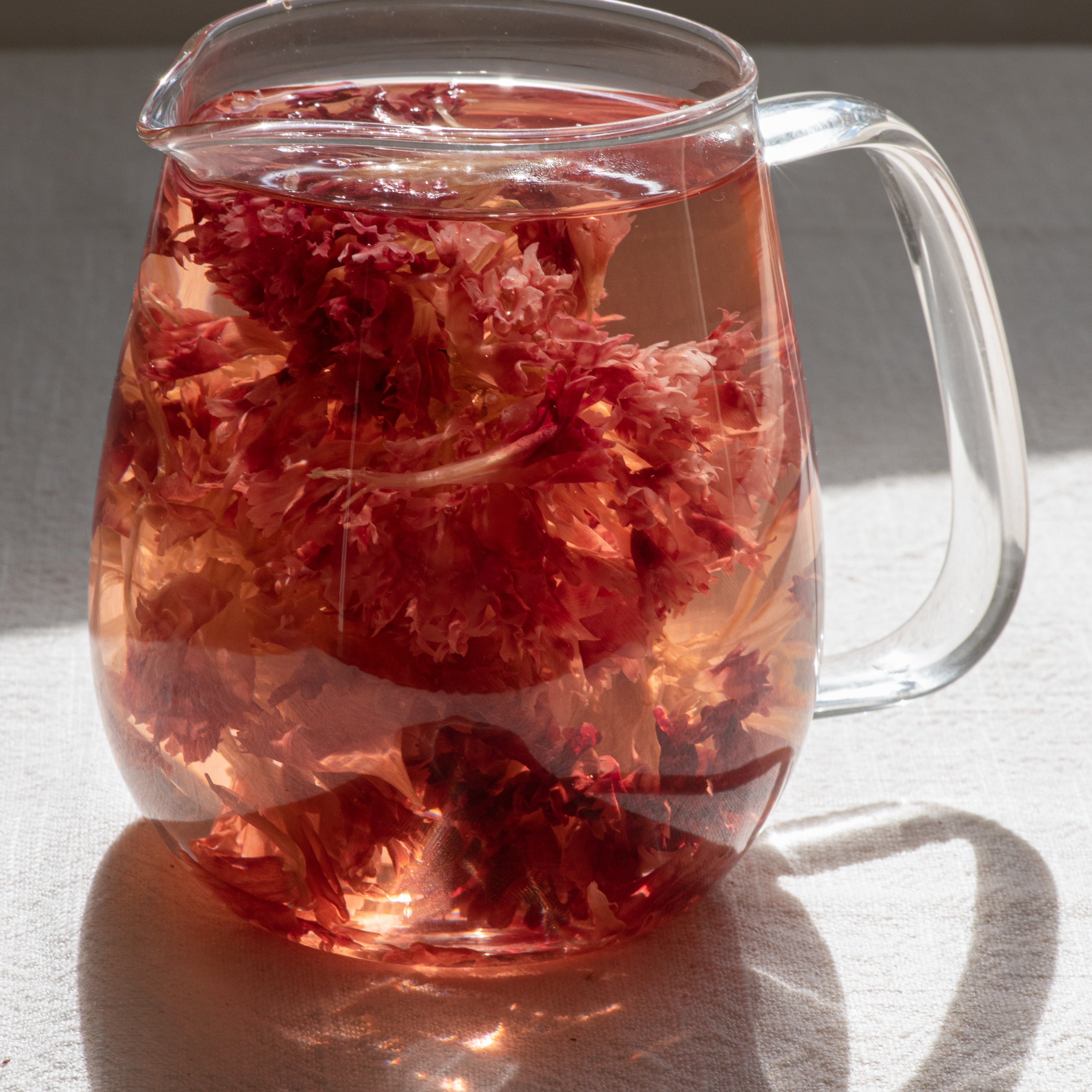 Carnation.jpg