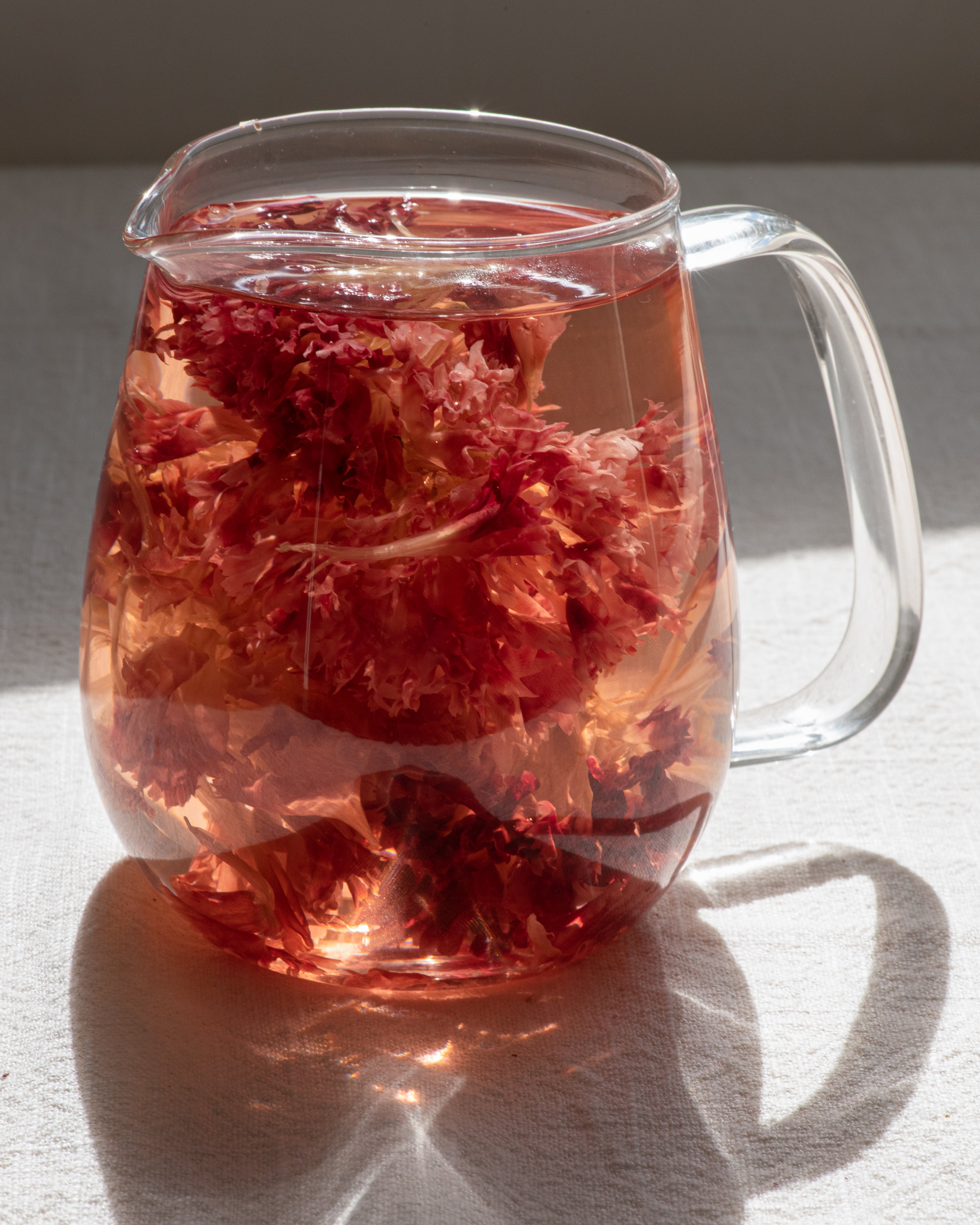 Blooming Tea - Carnation