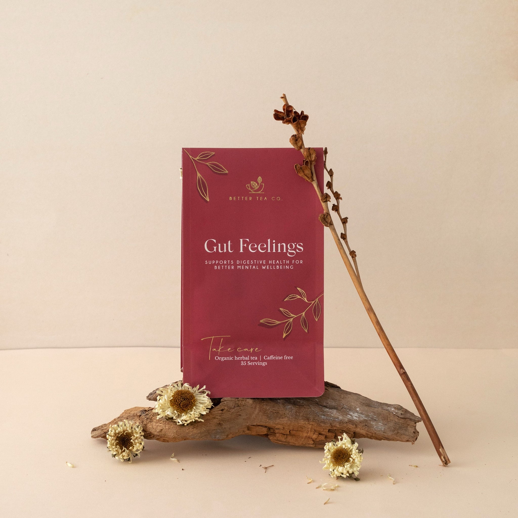 Gut Feelings - Compostable Pouch