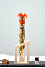 Botanical Scent Diffuser - I Am Vibrant